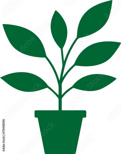 vector silhouette of a plant transparent with pot 