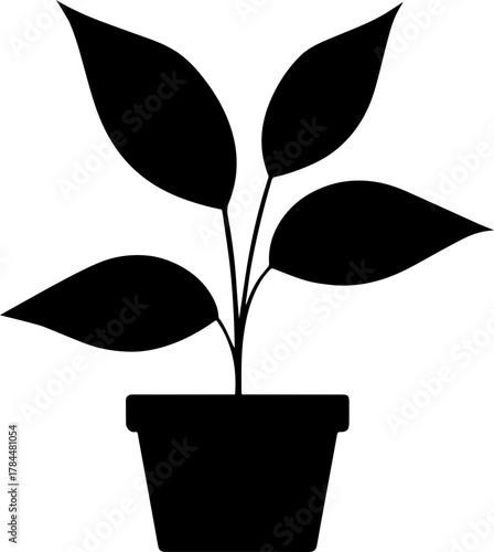 vector silhouette of a plant transparent with pot 