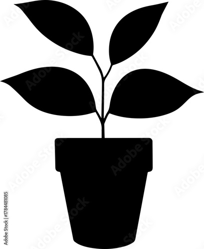 vector silhouette of a plant transparent with pot 