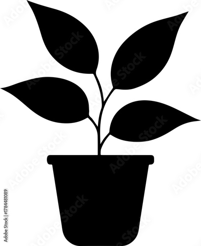 vector silhouette of a plant transparent with pot 