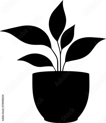 vector silhouette of a plant transparent with pot 