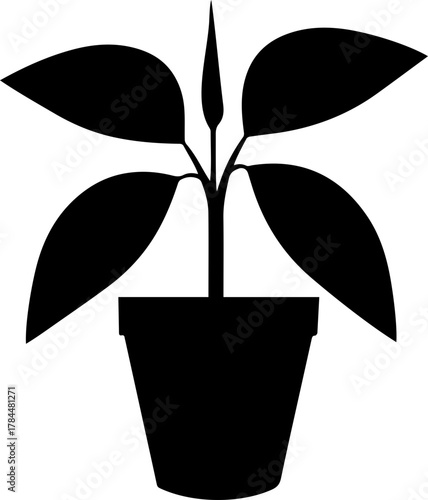 vector silhouette of a plant transparent with pot 