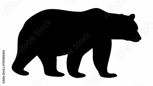 Silhouette of a bear walking with its head down and facing right on a white background, showing its fur 100