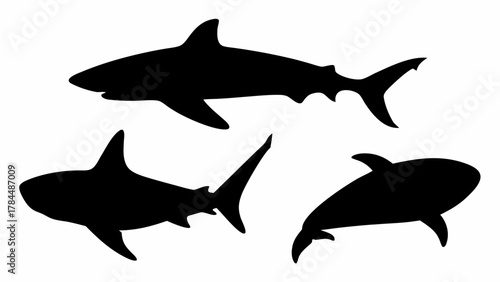 Three shark silhouettes swimming in different directions against a plain white background image view