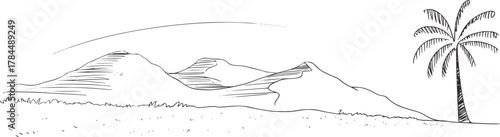 Desert landscape palm tree dunes vector