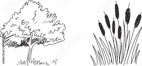 Lush tree and cattails grass nature