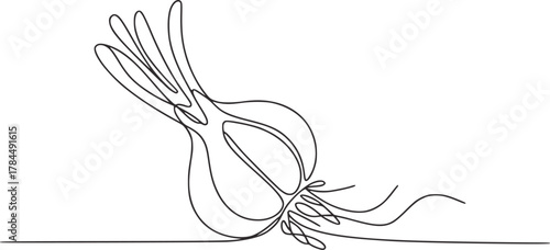 Single line drawing of an onion vegetable food