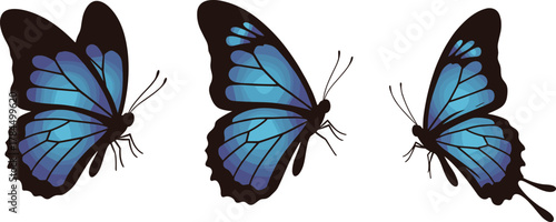 Three beautiful blue butterflies in flight, detailed tropical insect illustration showing side and angled views for nature art and design