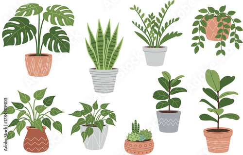 Potted Houseplant Collection – Stylized Indoor Plant Set with Diverse Leaf Shapes and Pot Designs