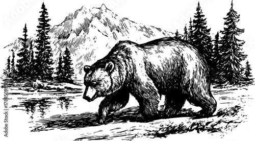 Bear walking in a black and white vintage outline drawing. Detailed wildlife illustration set in a scenic mountainous landscape with trees. Vector.