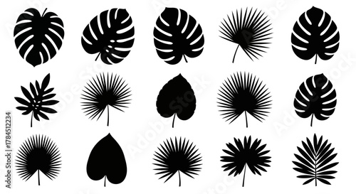 Vector art of collection of tropical leaf silhouettes, , perfect for adding a touch of nature and exotic flair to designs