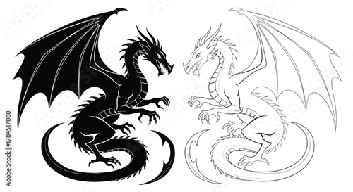 Vector art of yin and yang dragons in black and white, symbolizing balance and harmony