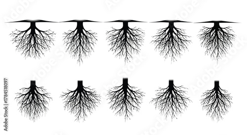 Vector art of set of ten black tree roots, representing the hidden foundations and connections beneath the surface, symbolizing growth, strength, and stability