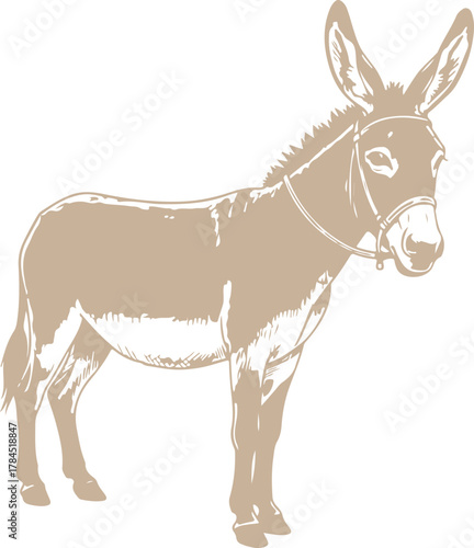 A stylized illustration of a donkey standing sideways, vector illustration