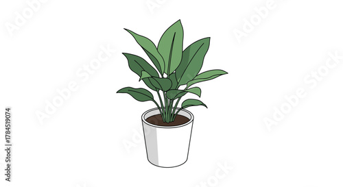 A vibrant and fresh digital illustration of a common green leafy houseplant in a minimalist white pot, conveying a sense of indoor nature and simple home decor.