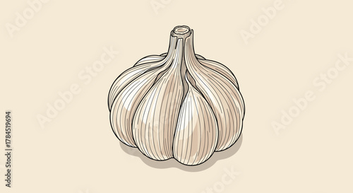 A detailed vintage-style illustration of a whole garlic bulb, featuring textured skin and cloves, isolated on a clean, light beige background for culinary themes.