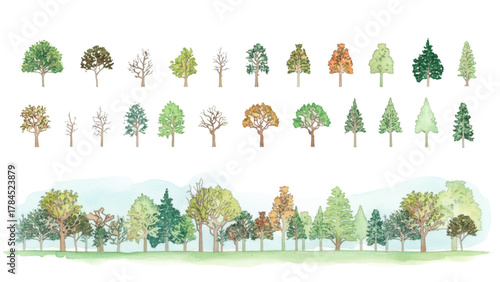 Watercolor illustration of various trees and forest landscape for nature themed design and decoration needs