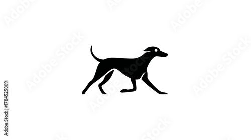 Sleek black dog silhouette vector illustration. Elegant sighthound pet walking graphic on white background.