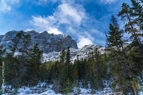 Canvas-taulu Forest scenery in early winter, green pine trees in the foreground, snow capped mountains with frozen trees in background