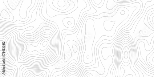 Abstract pattern with lines seamless pattern and topography map and counter map. abstract sea map area space geometric line technology topo landscape grid map texture.	
