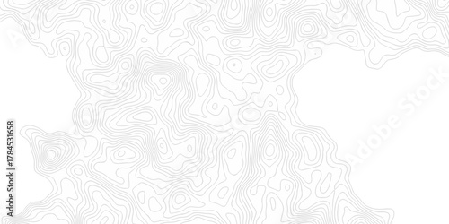 Abstract pattern with lines seamless pattern and topography map and counter map. abstract sea map area space geometric line technology topo landscape grid map texture.	
