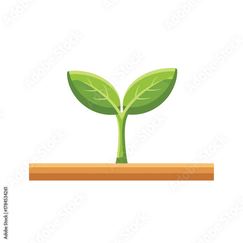 Fresh green sprout emerging from soil, symbolizing new beginnings and growth