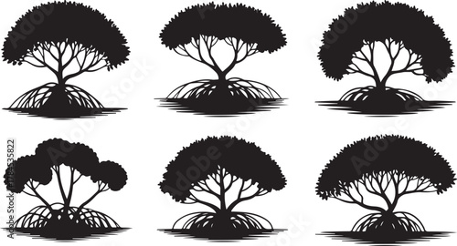A set of black palm tree silhouettes with tropical leaves for vector design illustration