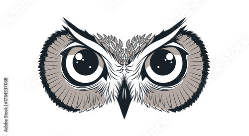 Simplified vector art illustration showcasing the eyes and face of an owl, front view