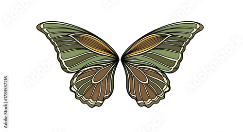 Digitally created illustration of a butterfly with stylized wings