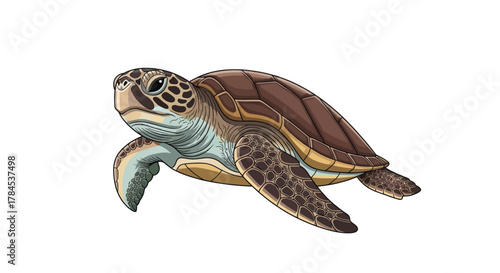 A vibrant, detailed illustration of a sea turtle, rendered with shading and crisp outlines on white