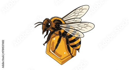Detailed illustration of a honeybee perched atop a hexagonal honeycomb