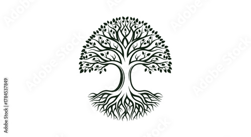Dark green symmetrical tree with roots and leaves on white background