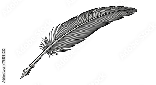 A detailed black and white illustration of a quill pen, composed of a feather with a metal tip