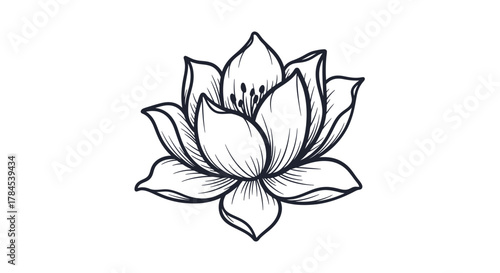 A detailed, stylized black and white illustration of a lotus flower, intricate line art