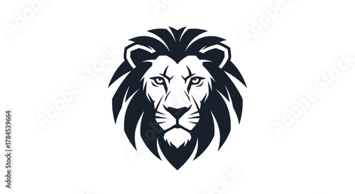 A stylized front-facing lion portrait in monochrome, featuring a textured mane