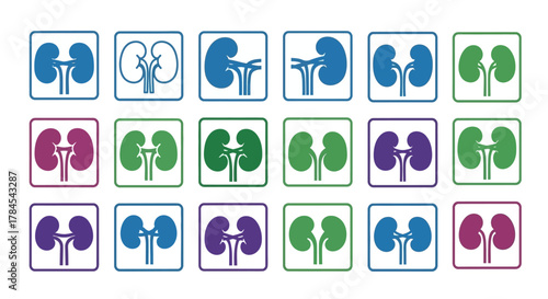 A grid of stylized kidney illustrations in various colors (blue, green, purple, and pink) within square frames. The simplified designs focus on the organ's basic shape