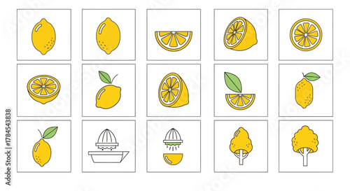A set of 15 stylized illustrations within individual squares, showcasing various representations of lemons from whole to slices, juicing, and tree-like forms