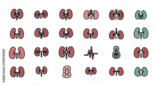 A grid of stylized illustrations showcasing various depictions of kidneys, in varying colors and styles, with and without internal structures. Black outlines define each element