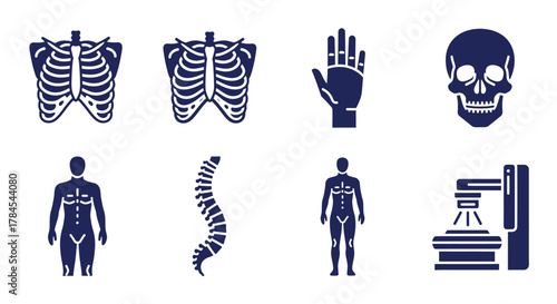 A set of stylized illustrations featuring human anatomy. Includes images of rib cages, a hand, skull, spinal column, human figures, and a medical scanning machine, rendered in a dark blue