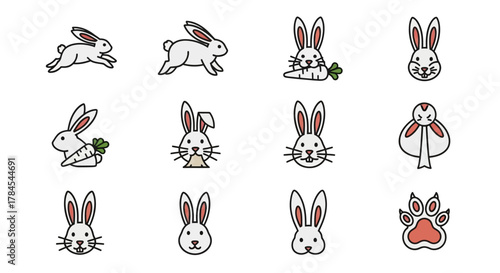 Stylized illustrations of rabbits in various poses and expressions, featuring carrots and a paw print. The drawings use simple lines, white, red, and black with colored accents