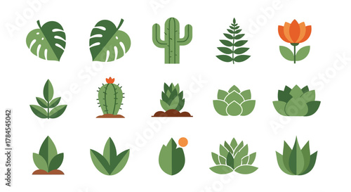 A collection of stylized plant illustrations, featuring various leaf shapes, cacti, and a flower, all in a flat design aesthetic with minimal color variation