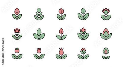 A collection of fifteen minimalist floral illustrations with varying stages of blooms, leaves, and stems, presented in a clean, outlined style with pastel colors