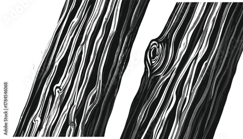 Detailed black and white tree bark texture illustration with natural wood grain, knot pattern, organic lines for nature art and design