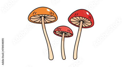 Three colorful cartoon mushrooms with long stems and red and orange caps on a white background.