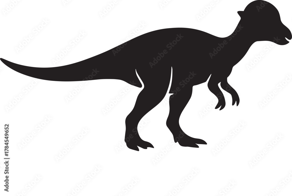 Fototapeta premium Silhouette of a pachycephalosaurus dinosaur with a distinctive domed head and thick tail isolated on a white background