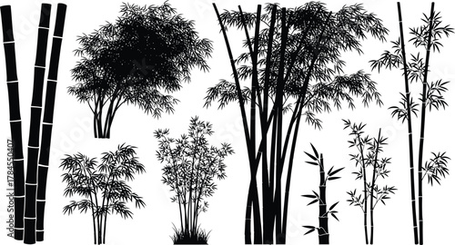 Bamboo forest silhouette vector illustration asian zen garden design eps