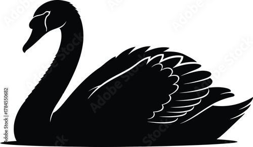 Black swan silhouette vector illustration swan bird black swan design eps