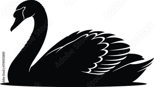 Black swan vector illustration elegant bird silhouette design graphic eps