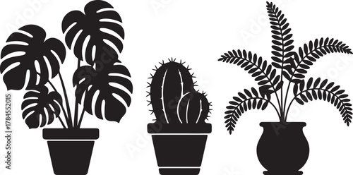 Set of Plants In Pots Isolated On Transparent Background Vector Illustration Design Template Exactly 130 Characters