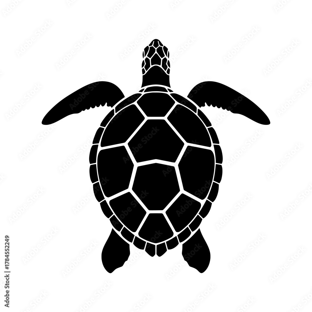 Fototapeta premium turtle vector illustration